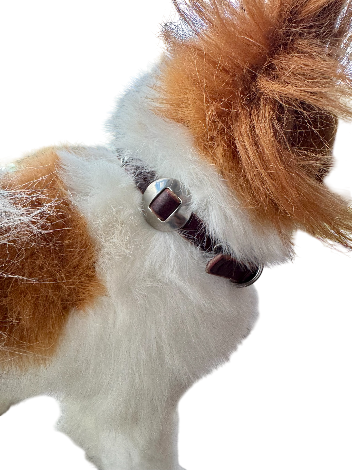 Dog Collar: 3 Double-Slot Concho