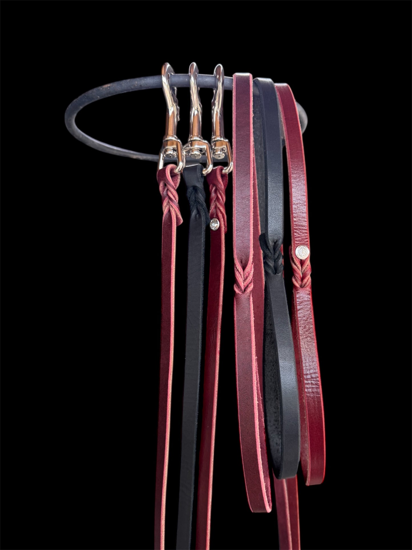 Braided 5-25 lb Dog Leash