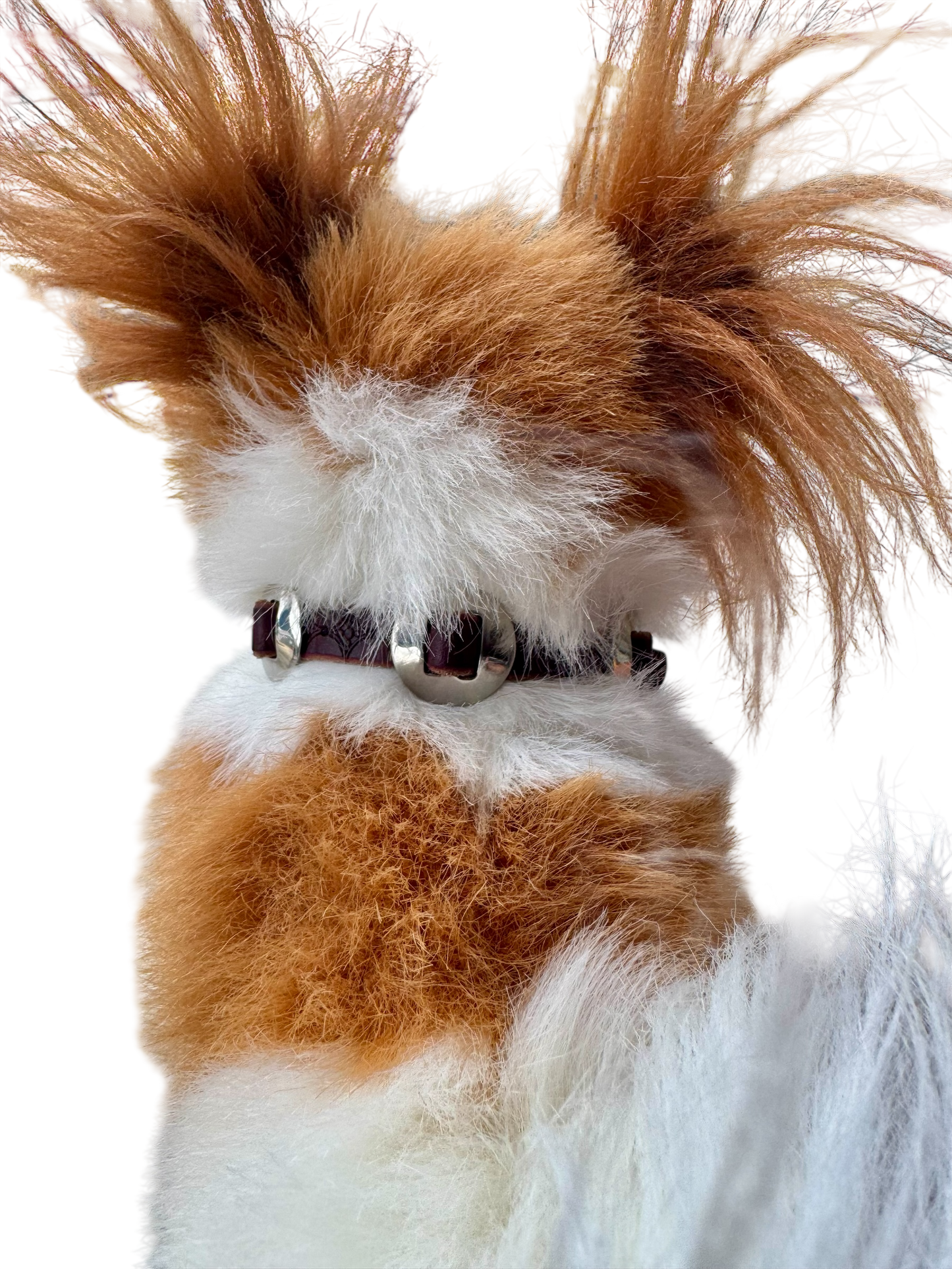 Dog Collar: 3 Double-Slot Concho