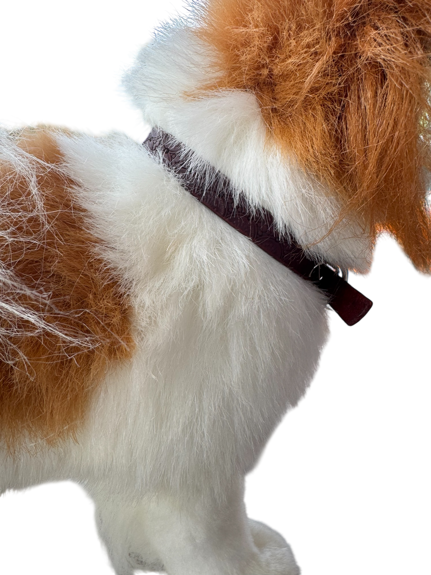 Dog Collar: Black Linear Stitch