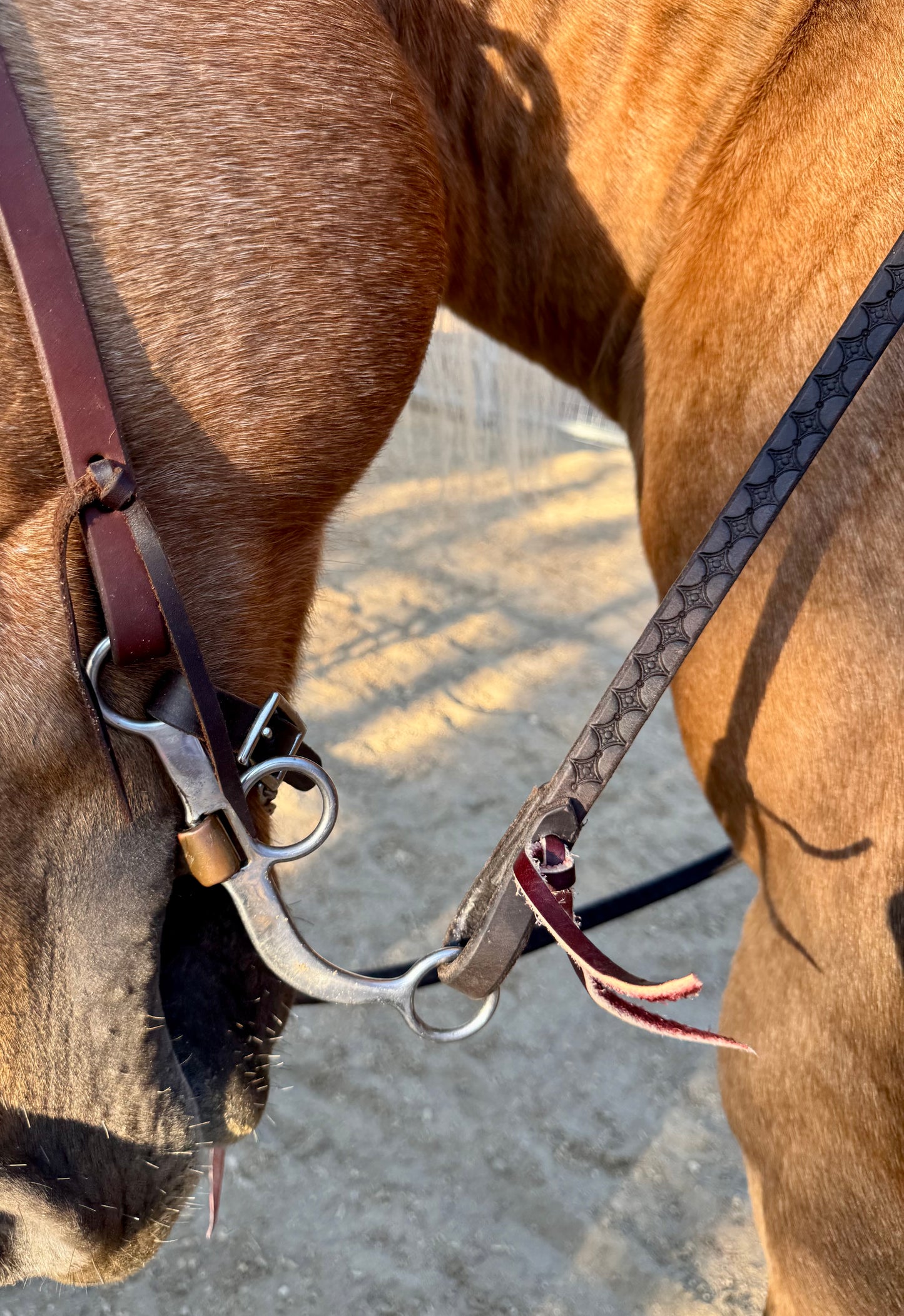 DESIGN-YOUR-OWN-CUSTOM: 8ft Tooled 5/8” Reins