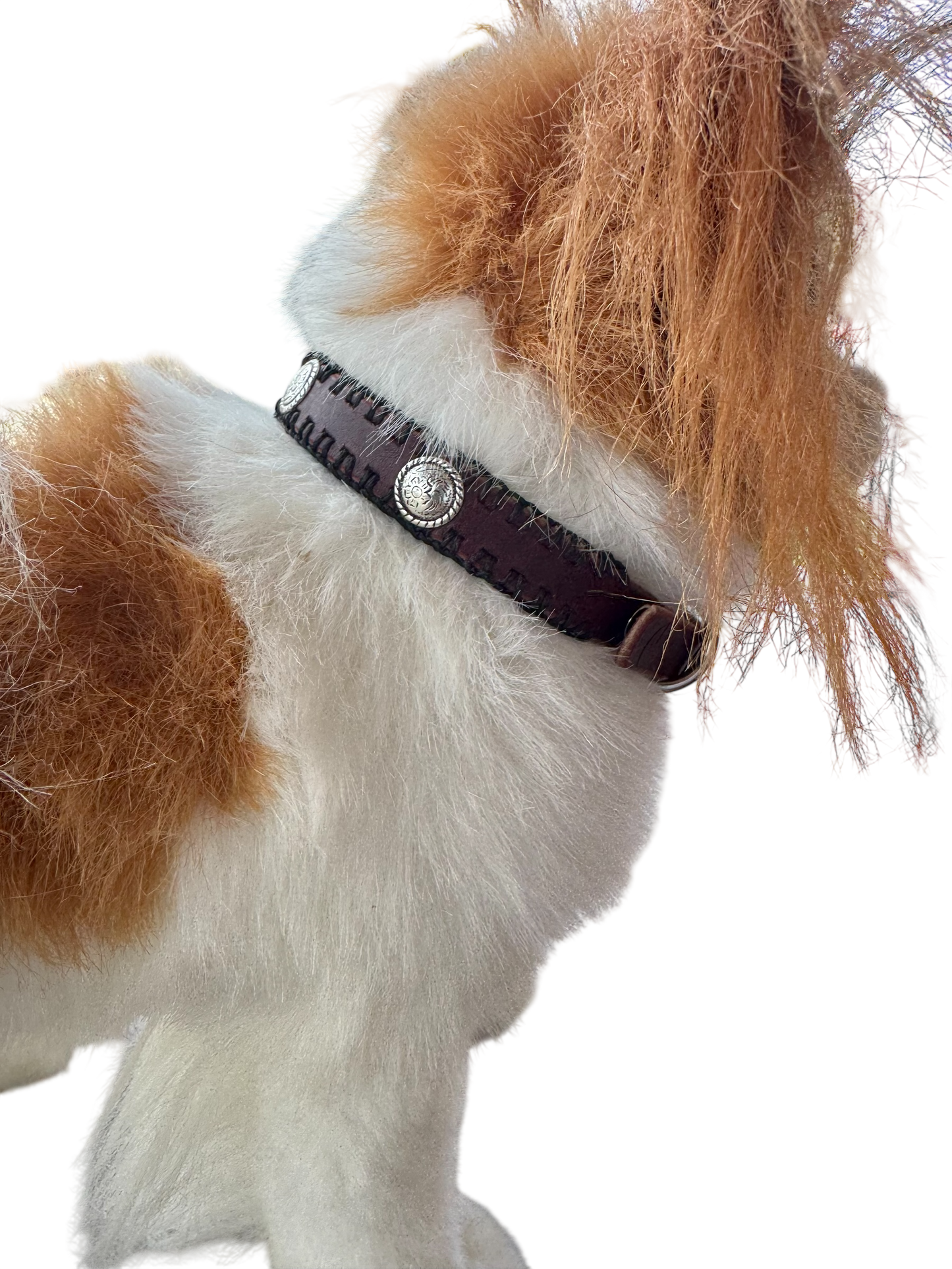 Dog Collar: 3-Concho w/ Black Edge Stitching