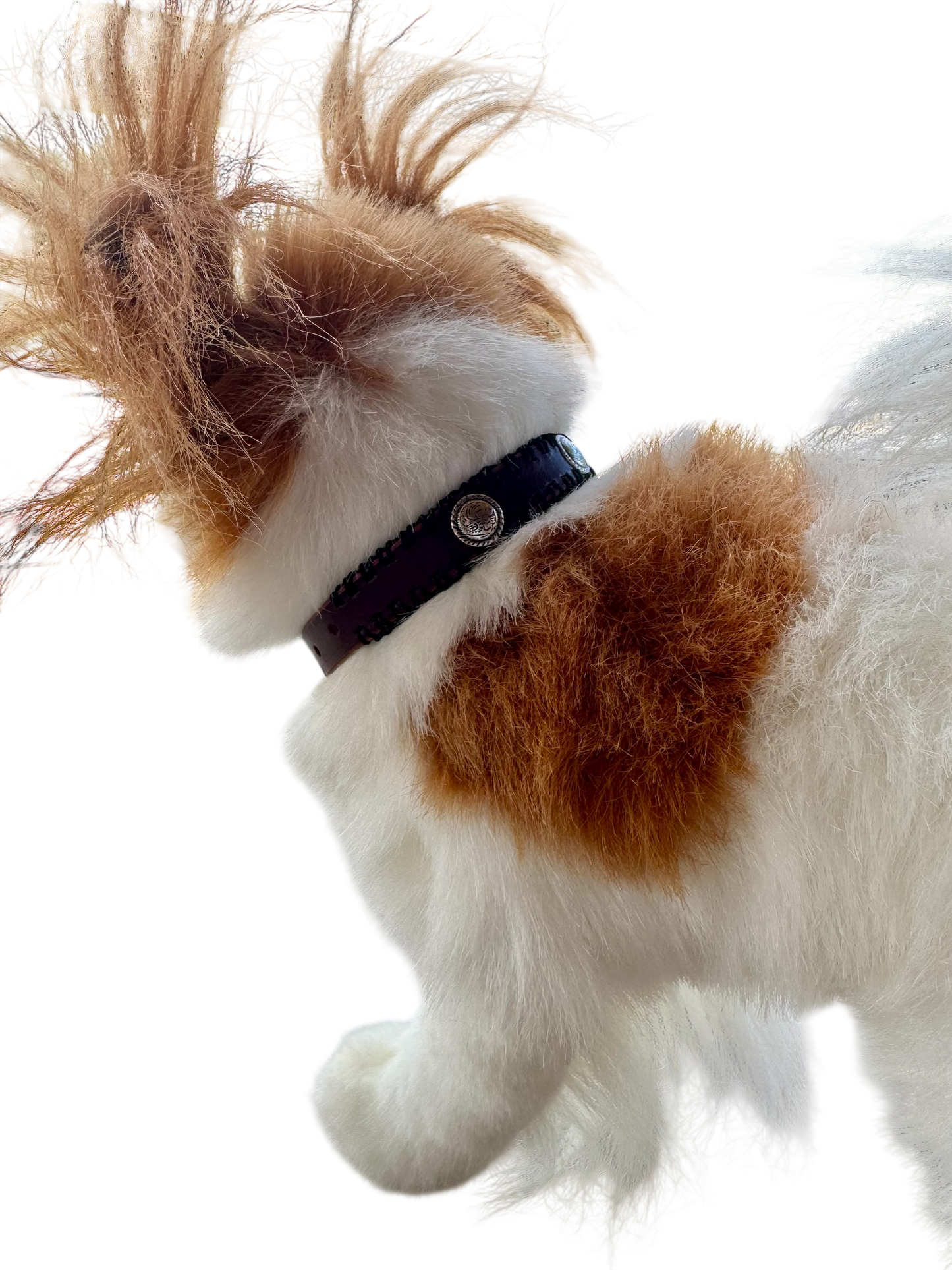 Dog Collar: 3-Concho w/ Black Edge Stitching