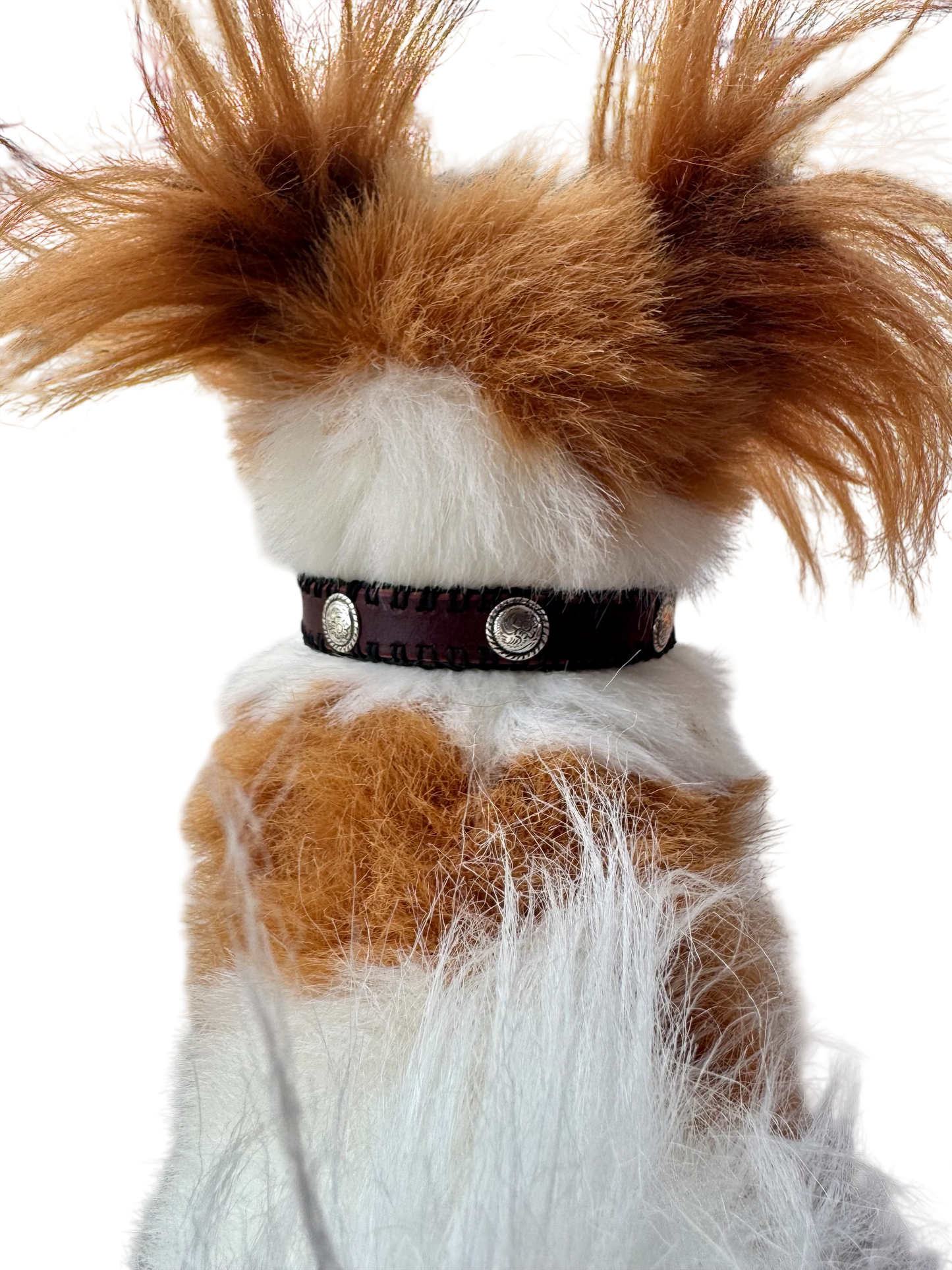Dog Collar: 3-Concho w/ Black Edge Stitching